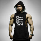 AH120 Single Taken At The Gym Sleeveless Hoodie