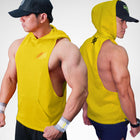 AWTSU Blazzer Sleeveless Hoodie